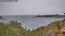 ./images/calvert/foggy-cove/20260315/foggy-cove20260315_132001M.jpg