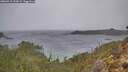 ./images/calvert/foggy-cove/20260315/foggy-cove20260315_133001M.jpg