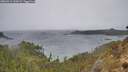 ./images/calvert/foggy-cove/20260315/foggy-cove20260315_140502M.jpg