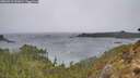 ./images/calvert/foggy-cove/20260315/foggy-cove20260315_141001M.jpg