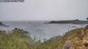 ./images/calvert/foggy-cove/20260315/foggy-cove20260315_141501M.jpg