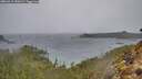 ./images/calvert/foggy-cove/20260315/foggy-cove20260315_150501M.jpg