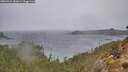 ./images/calvert/foggy-cove/20260315/foggy-cove20260315_152001M.jpg