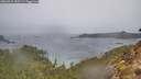 ./images/calvert/foggy-cove/20260315/foggy-cove20260315_153501M.jpg