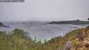 ./images/calvert/foggy-cove/20260315/foggy-cove20260315_154501M.jpg