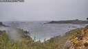 ./images/calvert/foggy-cove/20260315/foggy-cove20260315_175001M.jpg