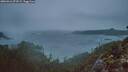 ./images/calvert/foggy-cove/20260316/foggy-cove20260316_073501M.jpg