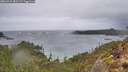 ./images/calvert/foggy-cove/20260316/foggy-cove20260316_081501M.jpg