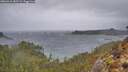 ./images/calvert/foggy-cove/20260316/foggy-cove20260316_082501M.jpg