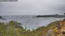 ./images/calvert/foggy-cove/20260316/foggy-cove20260316_083002M.jpg