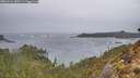./images/calvert/foggy-cove/20260316/foggy-cove20260316_083501M.jpg