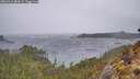 ./images/calvert/foggy-cove/20260316/foggy-cove20260316_084501M.jpg