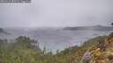 ./images/calvert/foggy-cove/20260316/foggy-cove20260316_085501M.jpg