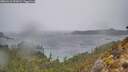 ./images/calvert/foggy-cove/20260316/foggy-cove20260316_091002M.jpg
