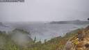 ./images/calvert/foggy-cove/20260316/foggy-cove20260316_091501M.jpg