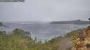 ./images/calvert/foggy-cove/20260316/foggy-cove20260316_094001M.jpg