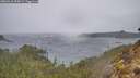 ./images/calvert/foggy-cove/20260316/foggy-cove20260316_094501M.jpg