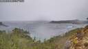 ./images/calvert/foggy-cove/20260316/foggy-cove20260316_095001M.jpg