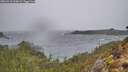 ./images/calvert/foggy-cove/20260316/foggy-cove20260316_103001M.jpg