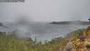./images/calvert/foggy-cove/20260316/foggy-cove20260316_103501M.jpg