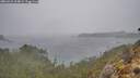 ./images/calvert/foggy-cove/20260316/foggy-cove20260316_114001M.jpg