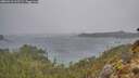 ./images/calvert/foggy-cove/20260316/foggy-cove20260316_115501M.jpg