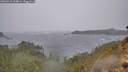 ./images/calvert/foggy-cove/20260316/foggy-cove20260316_124001M.jpg