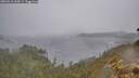 ./images/calvert/foggy-cove/20260316/foggy-cove20260316_134501M.jpg