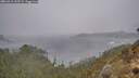 ./images/calvert/foggy-cove/20260316/foggy-cove20260316_135502M.jpg