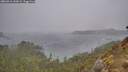 ./images/calvert/foggy-cove/20260316/foggy-cove20260316_143001M.jpg