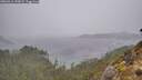 ./images/calvert/foggy-cove/20260316/foggy-cove20260316_150001M.jpg