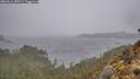 ./images/calvert/foggy-cove/20260316/foggy-cove20260316_150501M.jpg