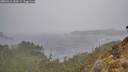 ./images/calvert/foggy-cove/20260316/foggy-cove20260316_152001M.jpg