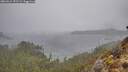./images/calvert/foggy-cove/20260316/foggy-cove20260316_152501M.jpg