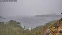 ./images/calvert/foggy-cove/20260316/foggy-cove20260316_153501M.jpg