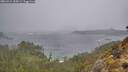 ./images/calvert/foggy-cove/20260316/foggy-cove20260316_155001M.jpg