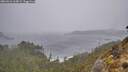 ./images/calvert/foggy-cove/20260316/foggy-cove20260316_163001M.jpg