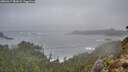 ./images/calvert/foggy-cove/20260317/foggy-cove20260317_081001M.jpg