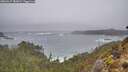 ./images/calvert/foggy-cove/20260317/foggy-cove20260317_085001M.jpg