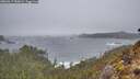 ./images/calvert/foggy-cove/20260317/foggy-cove20260317_090001M.jpg