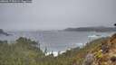 ./images/calvert/foggy-cove/20260317/foggy-cove20260317_090501M.jpg
