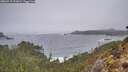 ./images/calvert/foggy-cove/20260317/foggy-cove20260317_091001M.jpg