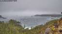 ./images/calvert/foggy-cove/20260317/foggy-cove20260317_091501M.jpg