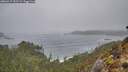 ./images/calvert/foggy-cove/20260317/foggy-cove20260317_092501M.jpg