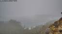./images/calvert/foggy-cove/20260317/foggy-cove20260317_103001M.jpg