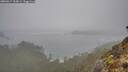 ./images/calvert/foggy-cove/20260317/foggy-cove20260317_104501M.jpg