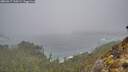 ./images/calvert/foggy-cove/20260317/foggy-cove20260317_110501M.jpg