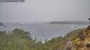 ./images/calvert/foggy-cove/20260317/foggy-cove20260317_111501M.jpg