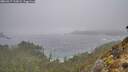 ./images/calvert/foggy-cove/20260317/foggy-cove20260317_112002M.jpg