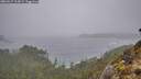 ./images/calvert/foggy-cove/20260317/foggy-cove20260317_114501M.jpg